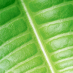 Environmentally Friendly Sustainable Products